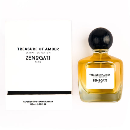 Treasure Of Amber