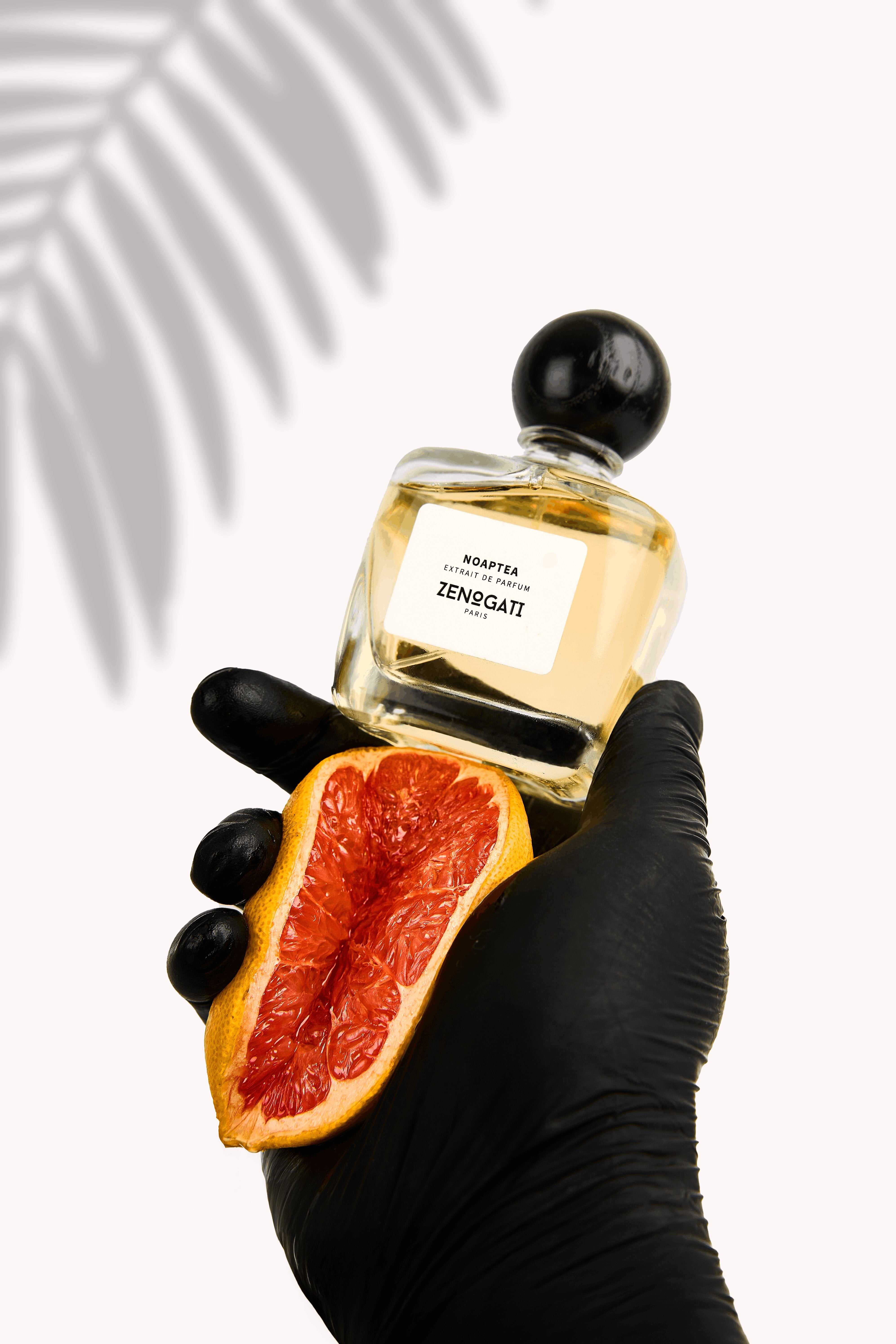 Flacon Zenogati Noaptea tenu en main avec un demi-pamplemousse, fond clair